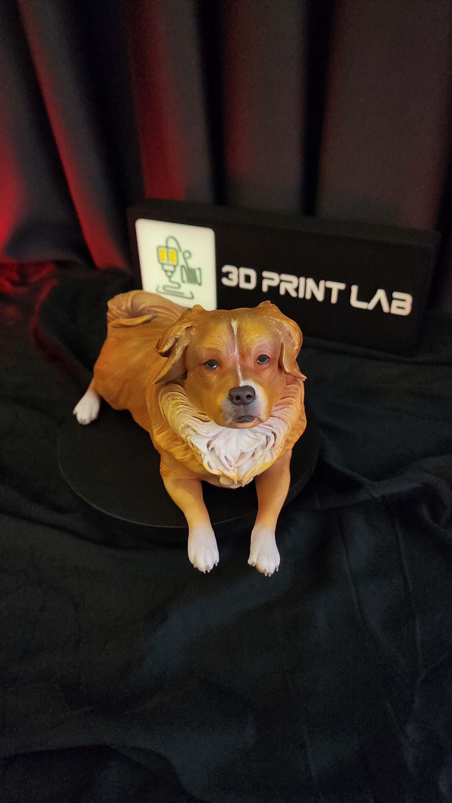 Fotoğraftan Köpek Heykeli (25 cm)